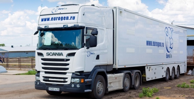 Delivery of breeding animals with climate controlled trucks